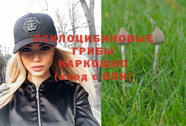 тгк Абинск